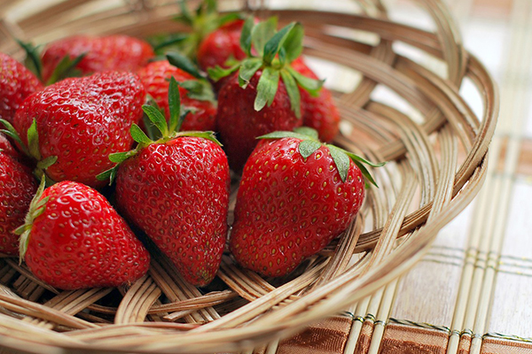 strawberry festival in Michigan