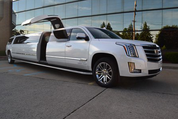 modern limo rental